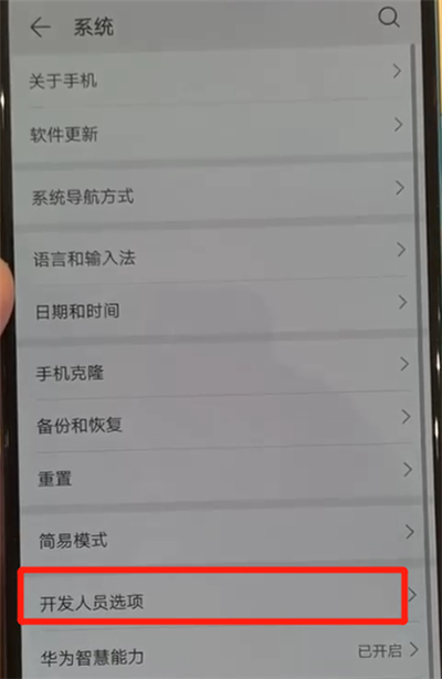 华为p30中退出开发者选项的操作教程截图