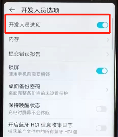 荣耀v20打开开发者选项的操作步骤截图