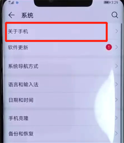 华为mate20pro中打开开发者选项的操作教程截图