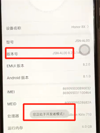 荣耀8x打开开发者模式的操作教程截图