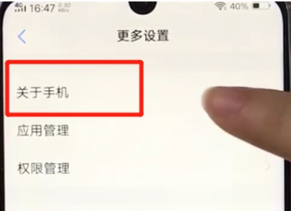 vivoz3打开开发者选项的操作教程截图