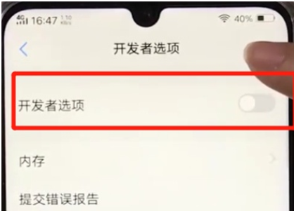 vivoz3打开开发者选项的操作教程截图