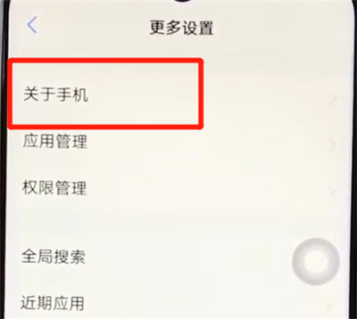 vivoz3辨别真假的简单操作步骤截图