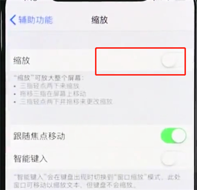 iphonexr中使用缩放的操作步骤截图