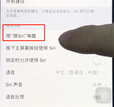 ios12中打开siri的详细步骤截图