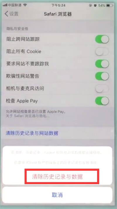 苹果7中清理safari浏览器的操作步骤截图