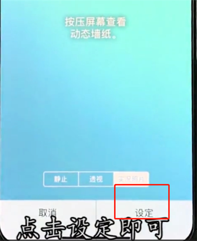 iphonex中设置壁纸的操作步骤截图