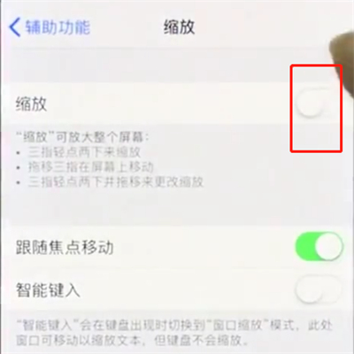 iphonex中使用缩放的操作步骤截图