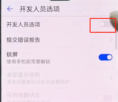 华为p20pro中打开开发者选项的简单方法截图