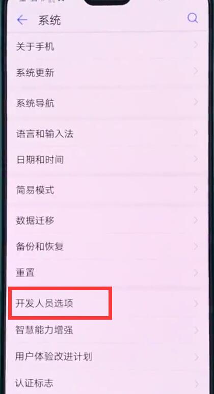 华为p20中打开开发人员选项的操作步骤截图