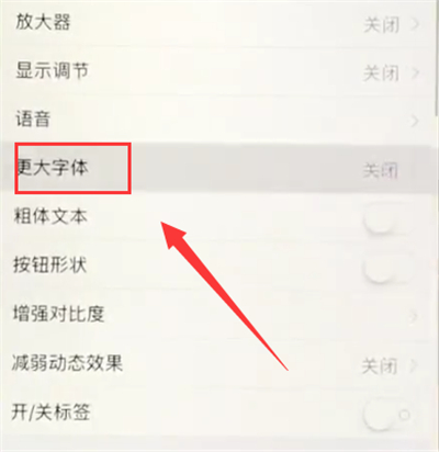 苹果6plus中调小字体的操作步骤截图