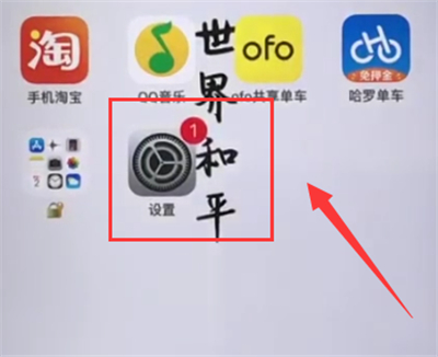 iphone6plus中开启来电闪光灯的简单方法截图