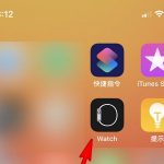 教你apple watch怎么改铃声。