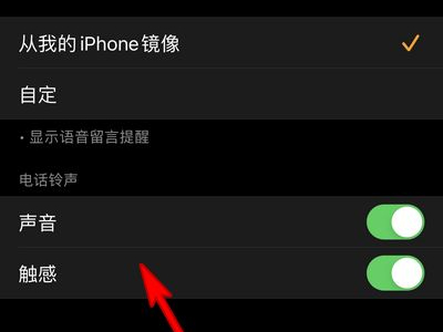 apple watch怎么改铃声？apple watch改铃声教程截图
