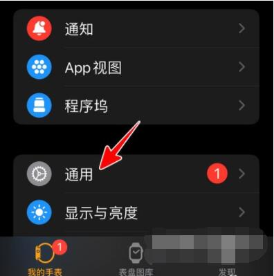 AppleWatch如何升级到watchOS8？AppleWatch升级到watchOS8教程截图