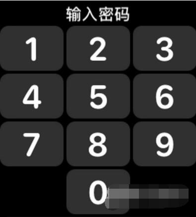 AppleWatch如何升级到watchOS8？AppleWatch升级到watchOS8教程截图