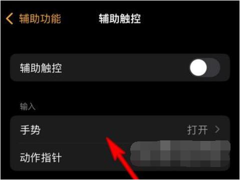 AppleWatchSeries7在哪里设置手势操作？AppleWatchSeries7手势操作设置步骤截图