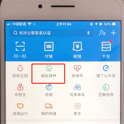 支付宝蚂蚁森林中申请种树的操作教程截图