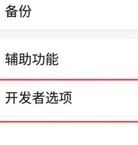 红魔Mars打开开发者选项的操作步骤截图