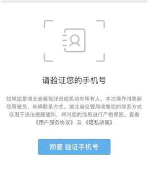 微信中湖北交管办理电子通行证教程截图