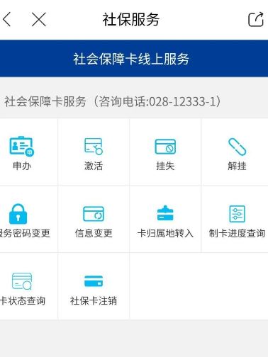 天府市民云查询社保信息的操作过程截图