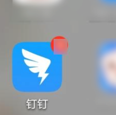 使用钉钉的投屏功能的具体方法截图