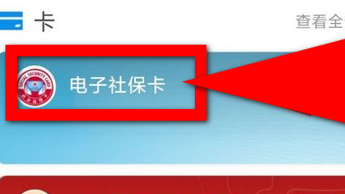 支付宝查询社保缴费信息的具体方法截图