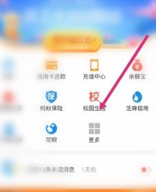 支付宝开通大学公益林的详细方法截图