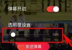 搜狐视频里进行设置弹幕透明度的操作流程截图