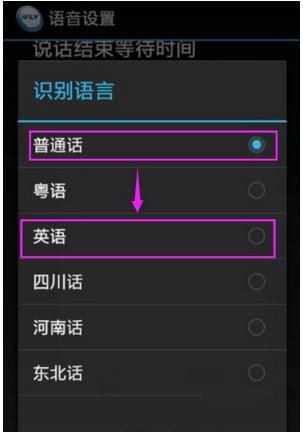 讯飞输入法设置识别语言的操作教程截图