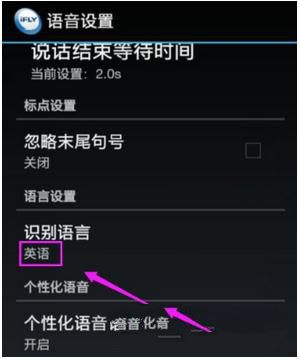 讯飞输入法设置识别语言的操作教程截图