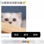 关于微信朋友圈评论怎么删除别人的评论。