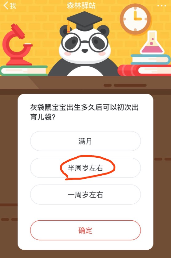 我来分享灰袋鼠宝宝出生多久后可以初次出育儿袋。