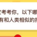 我来教你以下哪种动物拥有和人类相似的指纹。