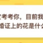 小编分享目前我国使用的结婚证上的花是什么花。