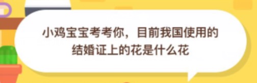 小编分享目前我国使用的结婚证上的花是什么花。