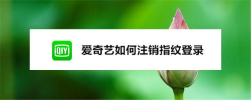 小编分享爱奇艺如何关掉指纹登录。