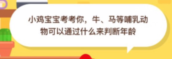 牛马等哺乳动物可以通过什么来判断年龄？小鸡庄园答题9月18日最新答案