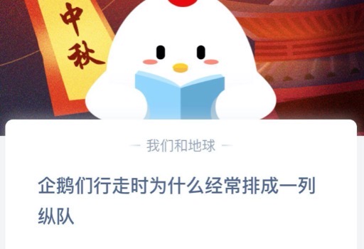 我来分享企鹅们行走时为什么经常排成一列纵队。