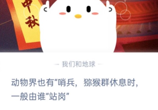 我来分享动物界也有哨兵，猕猴群休息时，一般由谁站岗。