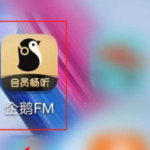 分享企鹅FM录音耳返功能如何开启。