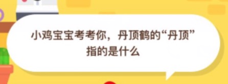 我来教你丹顶鹤的丹顶指的是什么。