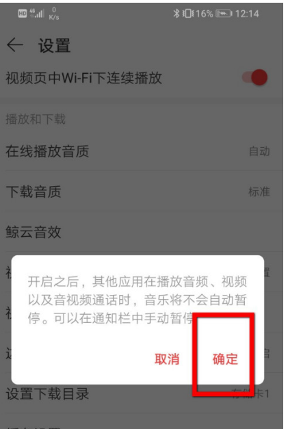 网易云音乐如何开启与其他应用同时播放