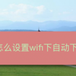 我来分享网易云音乐如何设置WiFi网络自动下载安装包。