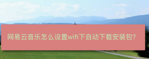 我来分享网易云音乐如何设置WiFi网络自动下载安装包。