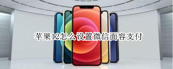 教你iphone12微信面容支付如何设置。