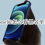 我来教你iphone12如何查看来电黑名单。