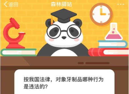 按我国法律，对象牙制品哪种行为是违法的？微博森林驿站10月19日今日答题答案