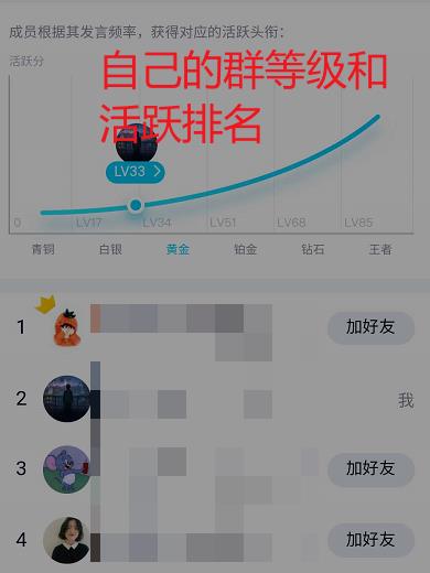 如何查询自己在QQ群中的等级?QQ群查询自己等级的方法截图