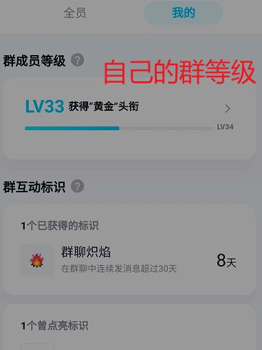 如何查询自己在QQ群中的等级?QQ群查询自己等级的方法截图